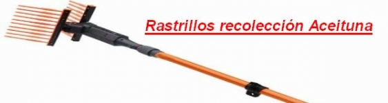 TORNO ARADO 5.6 11X90
